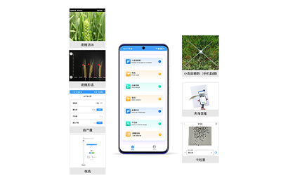 营口市小麦表型检测仪IN-XM04